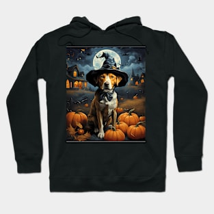 Aesthetic Halloween Pointer Dog Witch Pumpkin Horror Nights Custom Hoodie